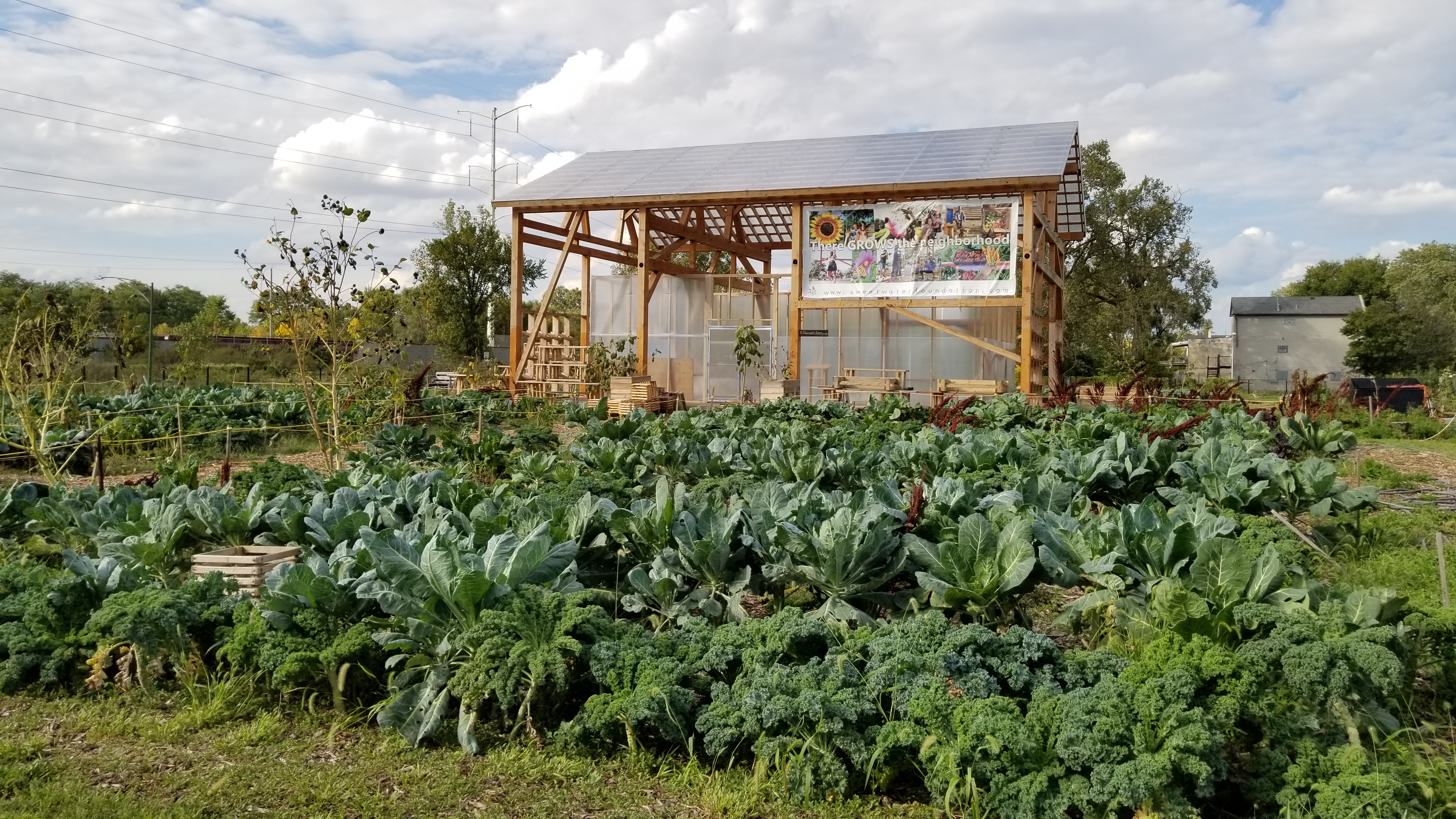 sweet water foundation thought barn