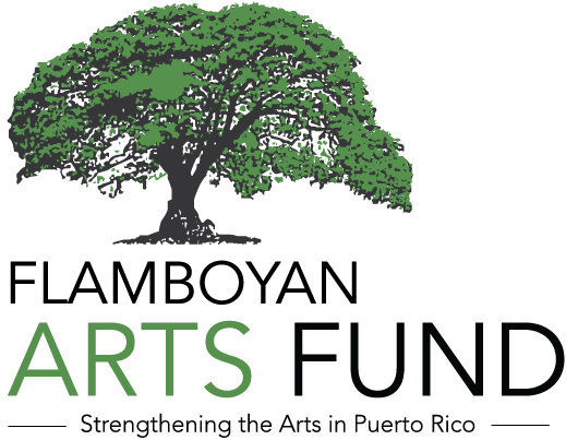 Flamboyan Arts Fund